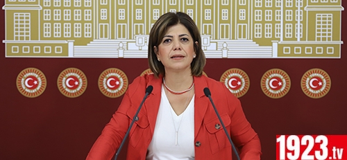 HDPLİ MERAL 1923.TV